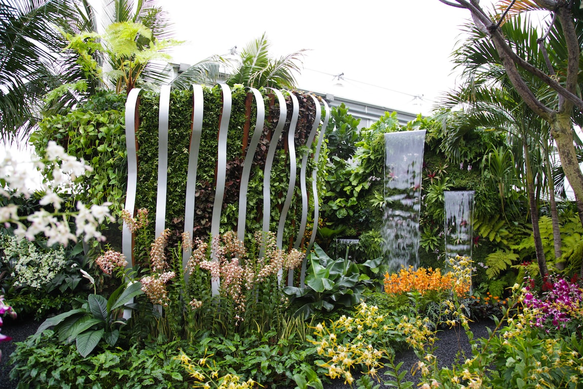 Chelsea Flower Show 2015