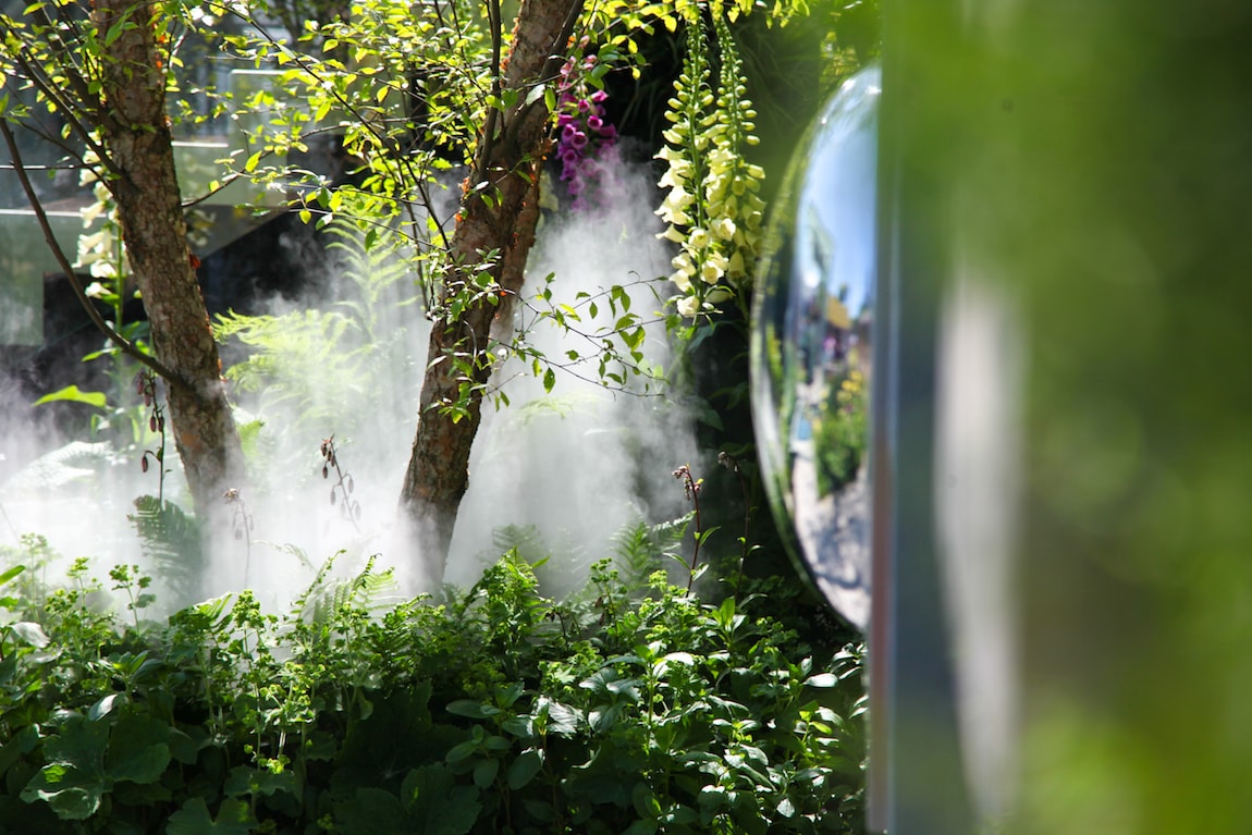 Laurent ANDRE IMG_7280-min