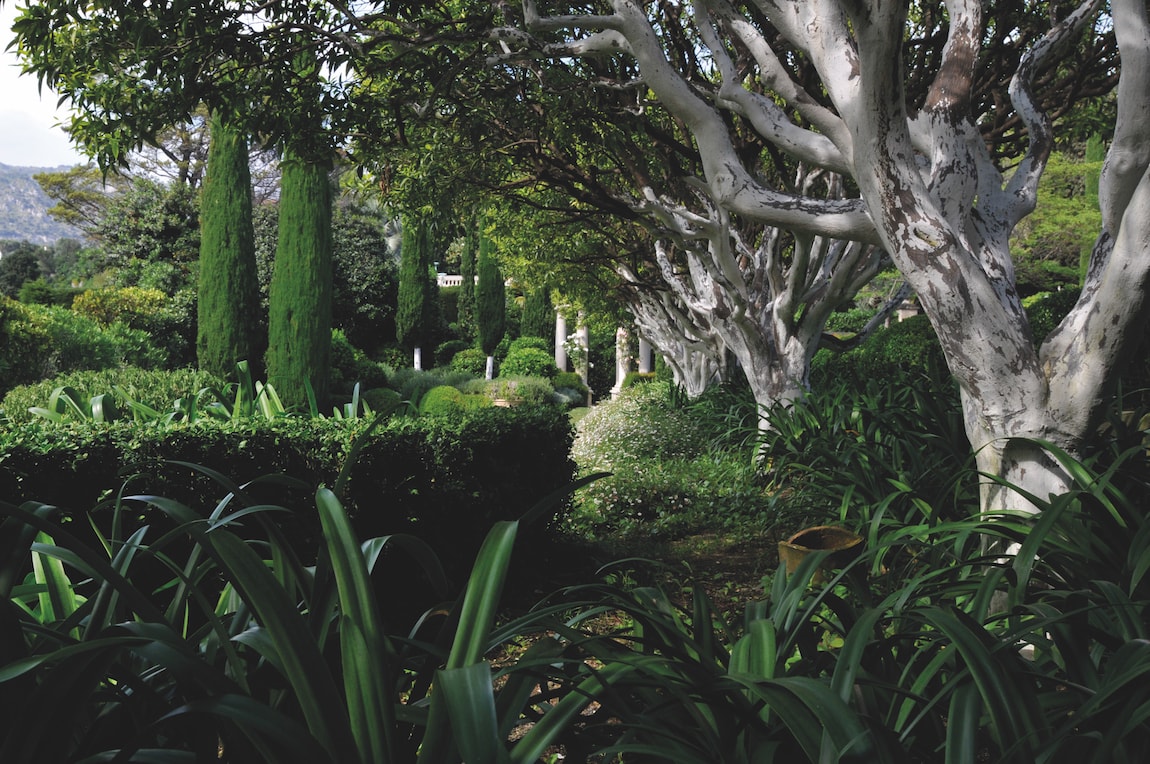 jardin méditeranéen