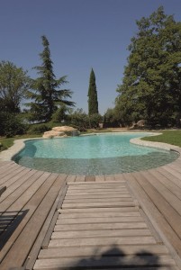 grande piscine jardin