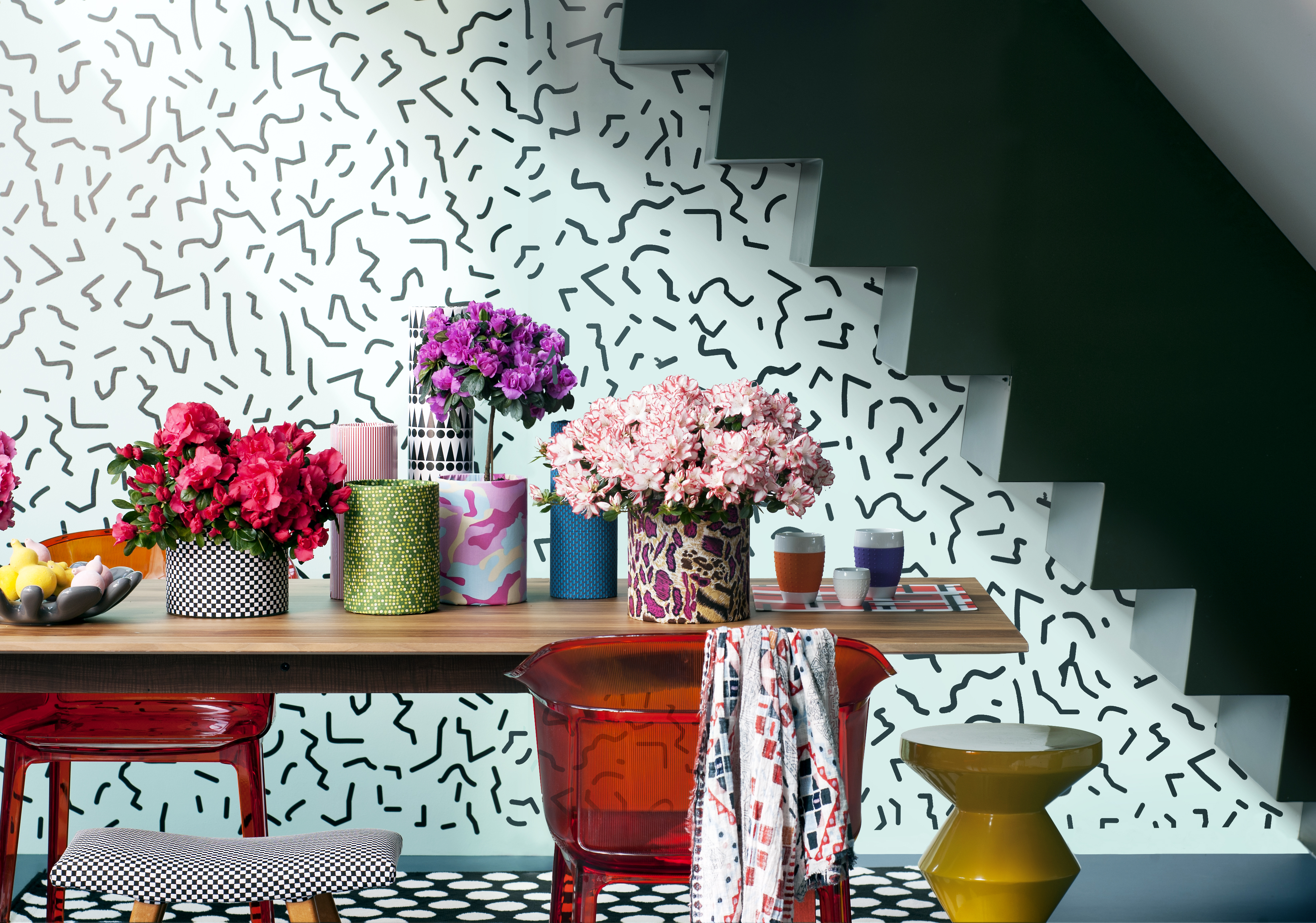 moreismore plantes d'intérieur moreismore plantes d'intérieur