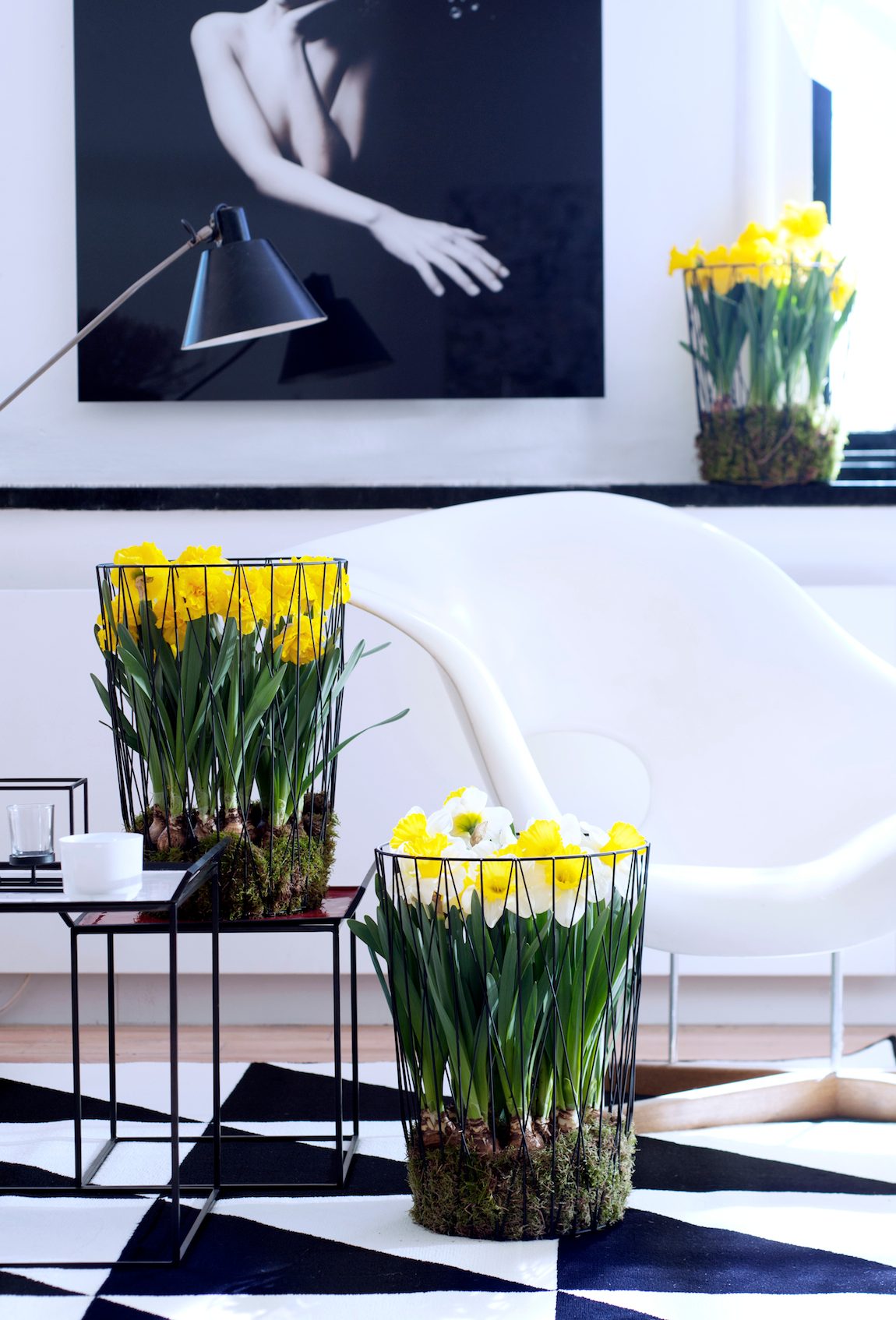 Narcisses -ACMSP2016-07-compressed