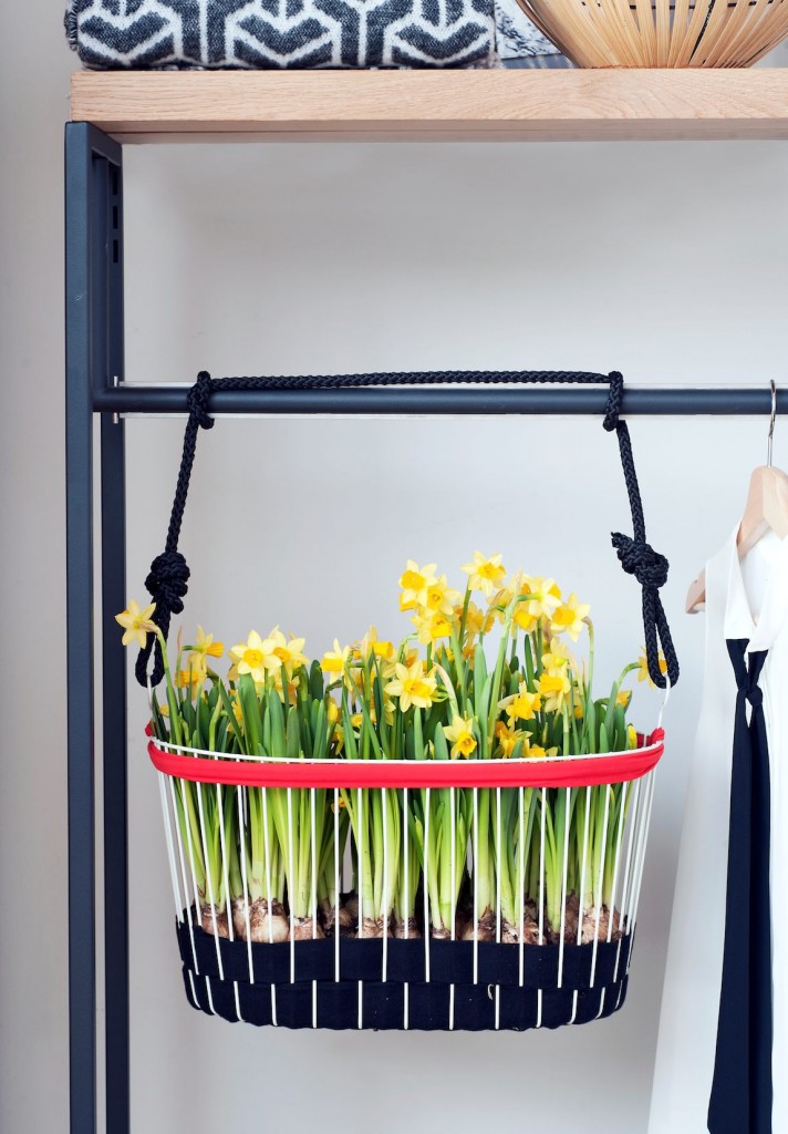 Narcisses DIY-ACMSP2016-1-compressed