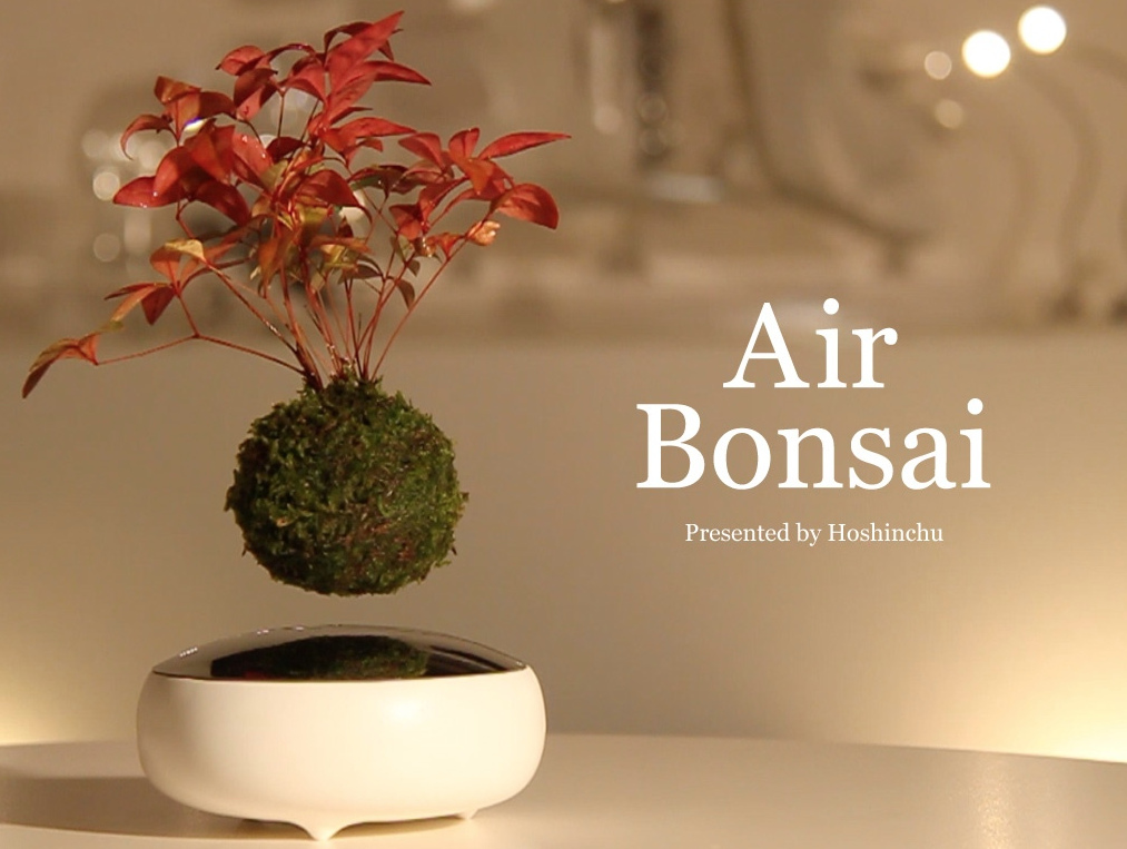 air-bonsai-original-compressed