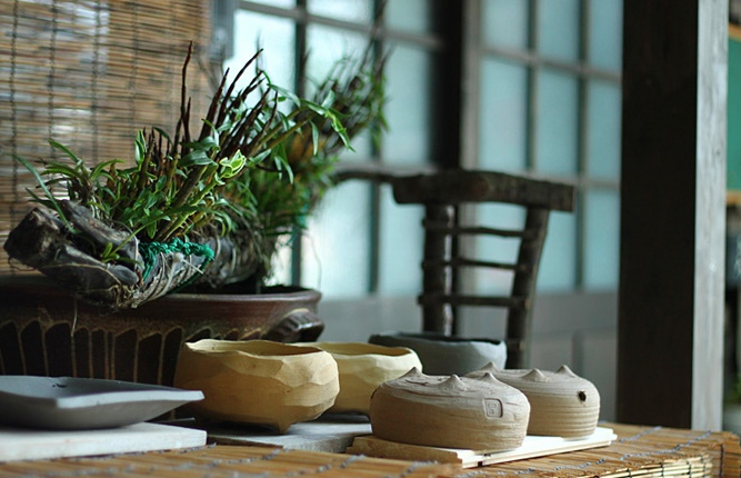 air-bonsai-plantes2