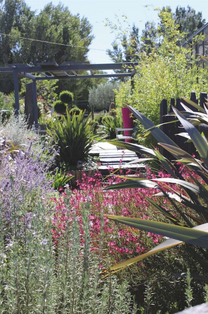 jardin ensoleillé couleur jardin ensoleillé couleur