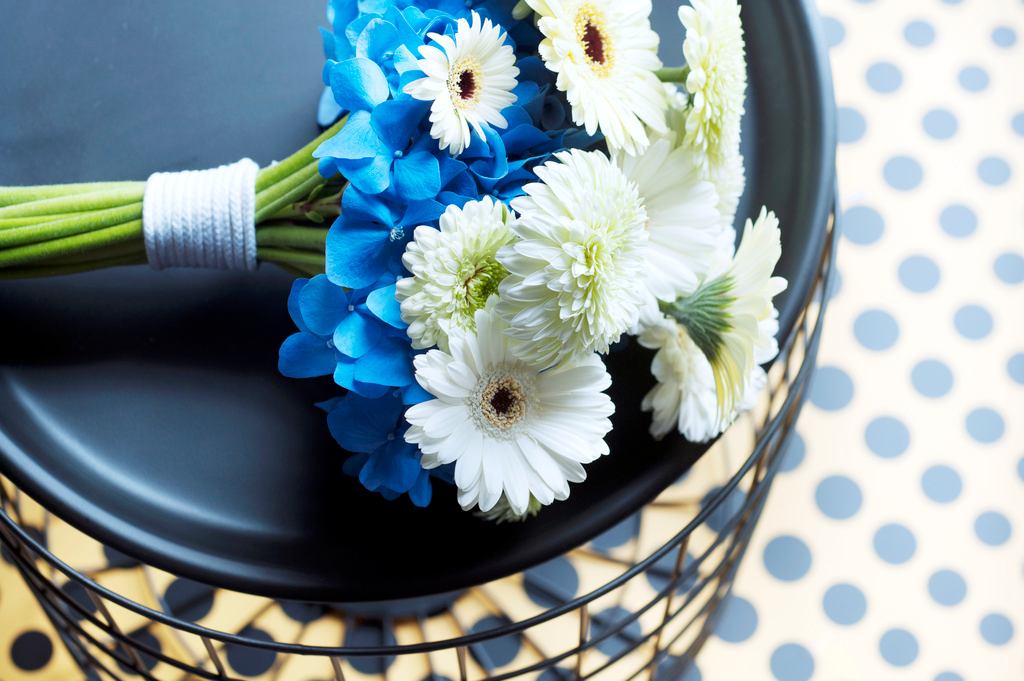 Gerbera pour le printemps Gerbera pour le printemps