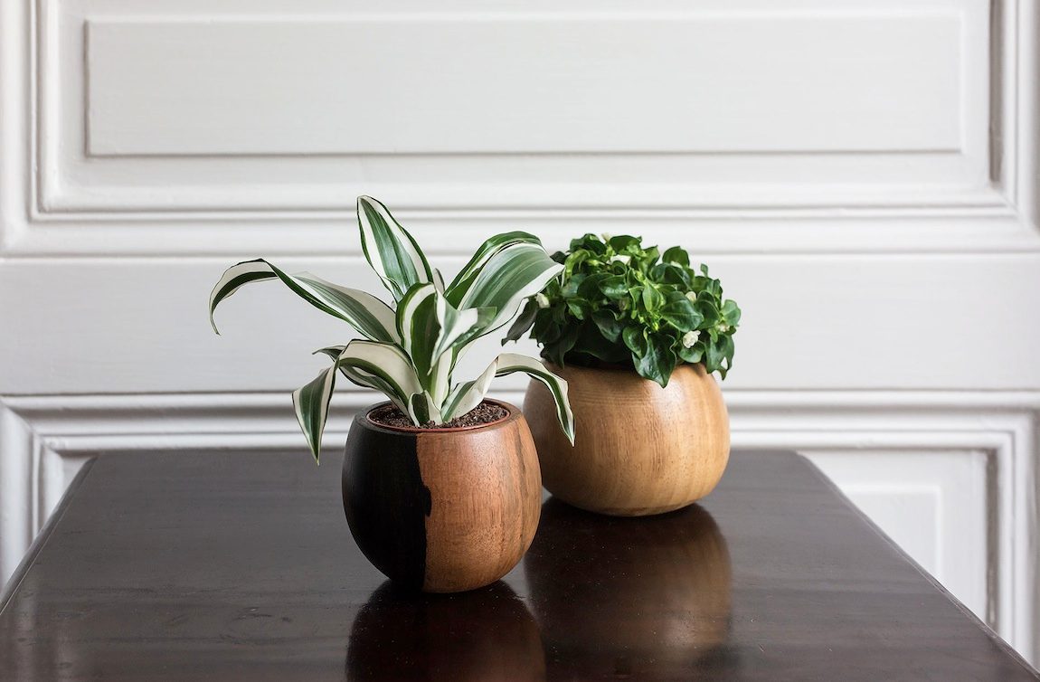 Petit pot Diroko summer instinct de Equadoria