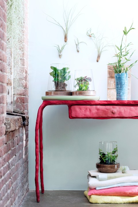 Peperomia design avec meubles et accessoires