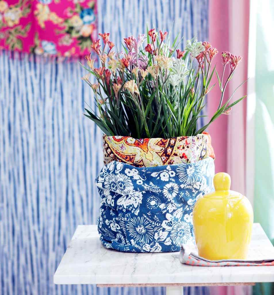 Anigozanthos plantes exotiques du mois de mai Anigozanthos plantes exotiques du mois de mai