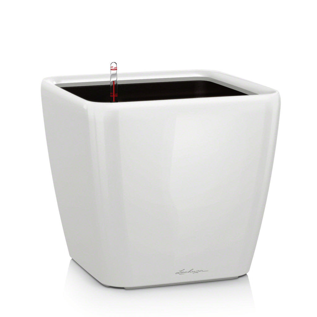 Pot à réservoir d'eau Lechuza - photo : Lechuza Pot à réservoir d'eau Lechuza - photo : Lechuza