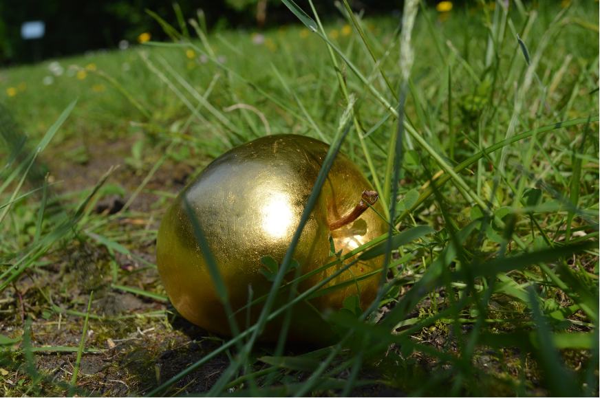 Stephanie Saade, sèvres mon seul désir