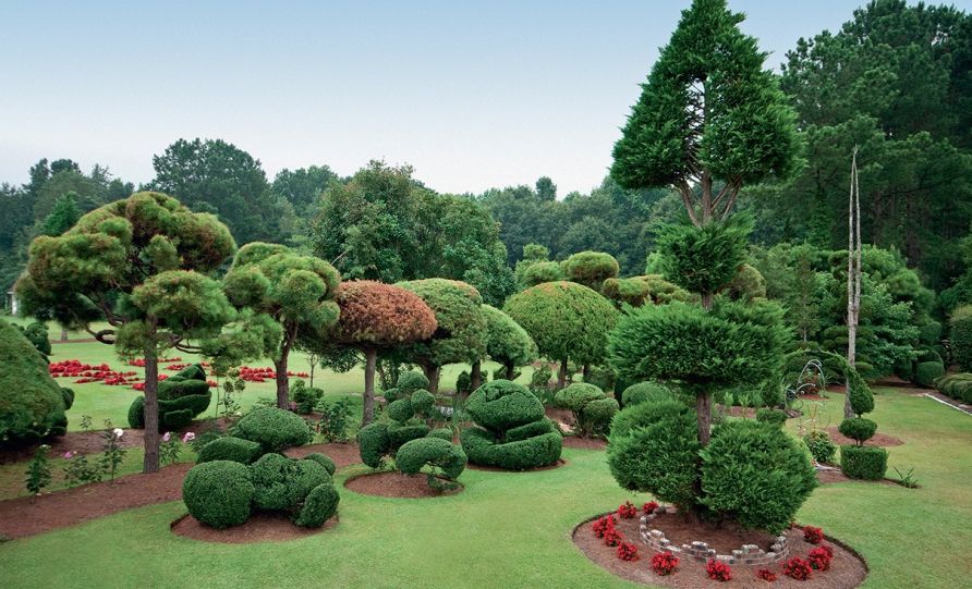 Jardins en hiver des topiaires par Pearl Fryar Jardins en hiver des topiaires, Pearl Fryar