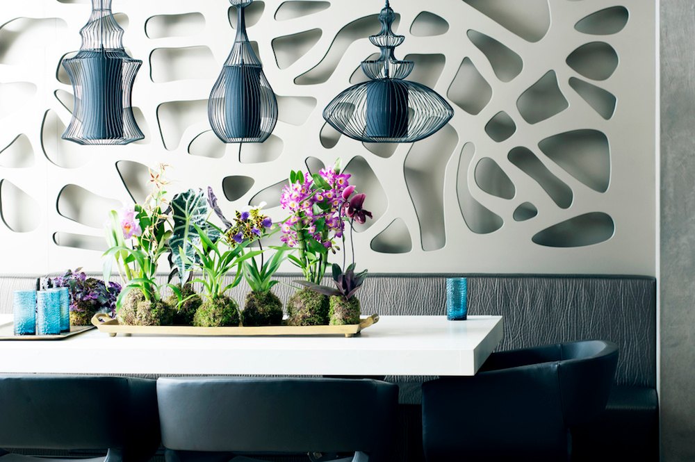 Visuel d'orchidées, plante du mois novembre Visuel d'orchidées, plante du mois de novembre