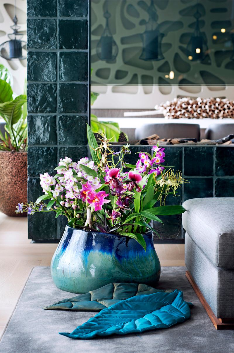 Pot au sol d'orchidées d'exception Pot au sol d'orchidées d'exception plante du mois