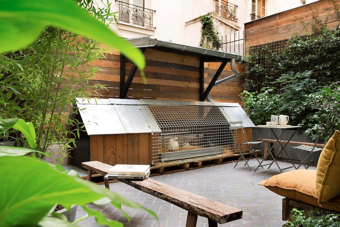 C.O.Q Hôtel poulailler poules C.O.Q Hôtel poulailler