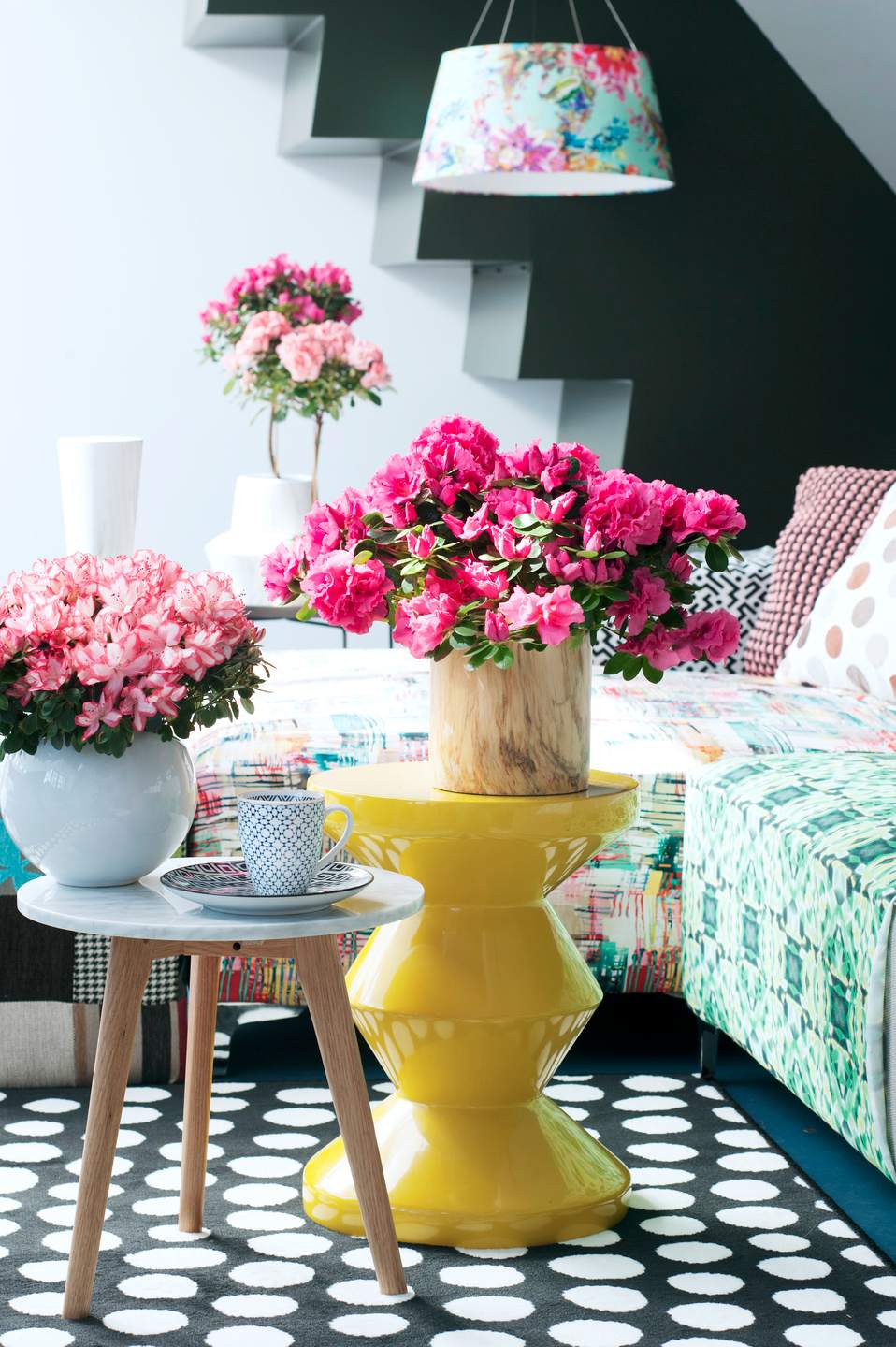 composition florale d'azalée colorée composition florale d'azalée