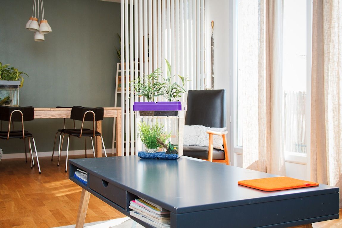 Aquarium potager sur table basse Citizenfarm lumière Aquarium potager sur table basse Citizenfarm