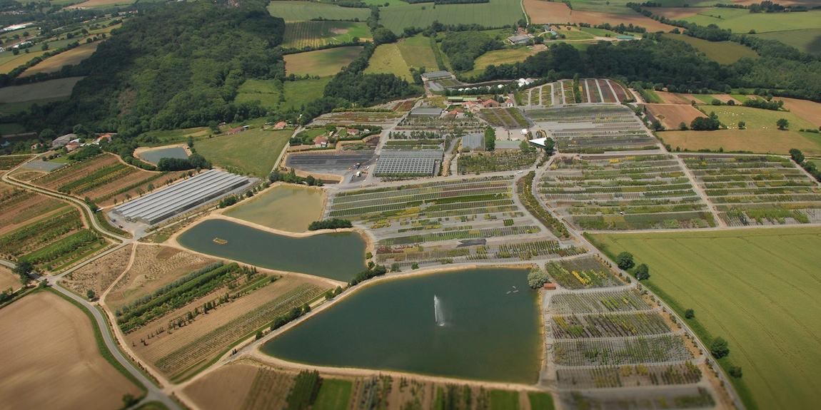 Vue du ciel des pépinières ripaud