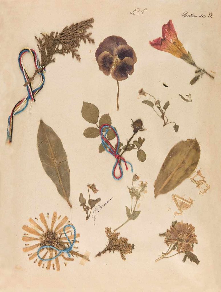 herbier expo jardins