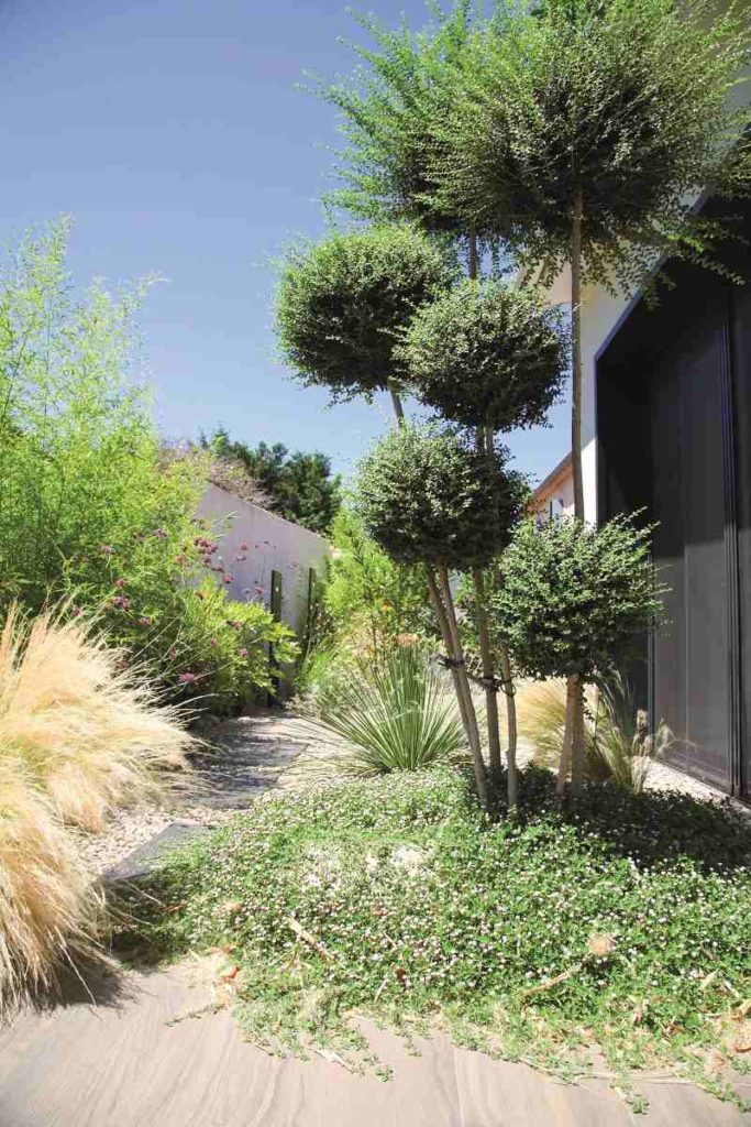 jardin urbain sylvère fournier