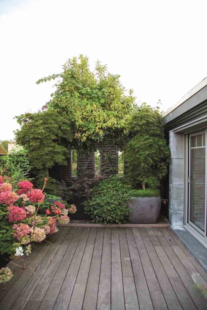 terrasse didier danet