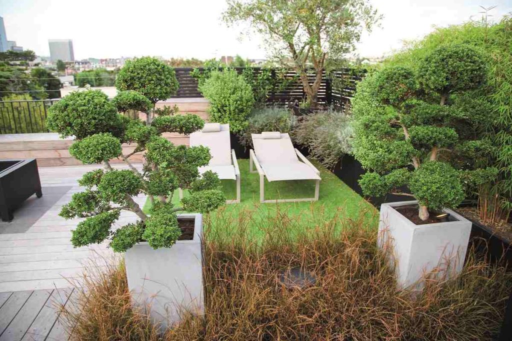 terrasse didier danet