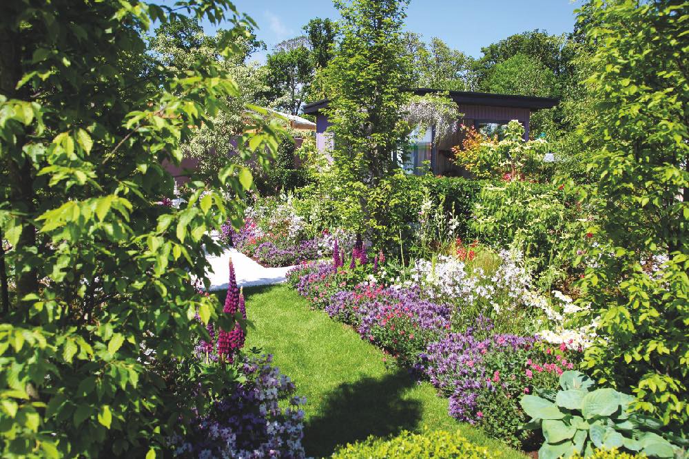 jardin fleuri et coloré