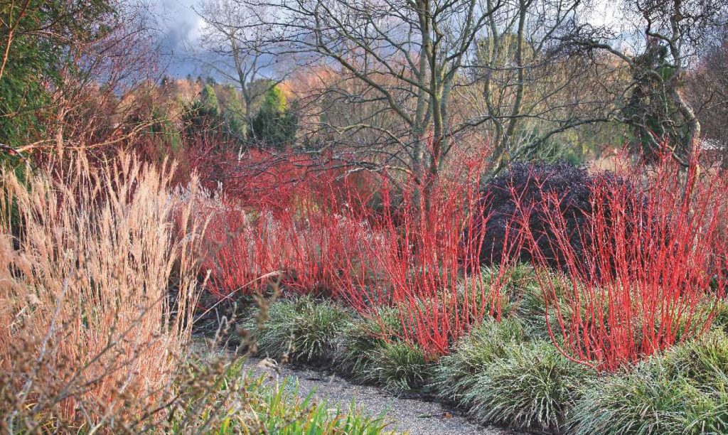 jardin d'hiver jardin d'hiver