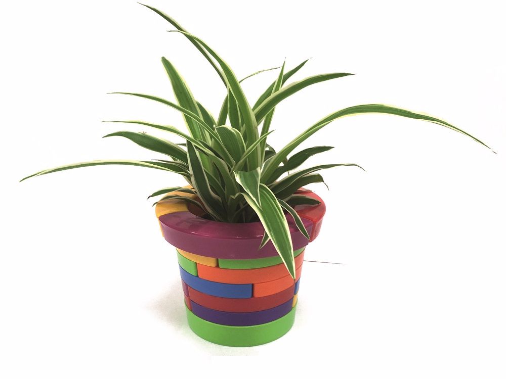 amuser enfants dehors