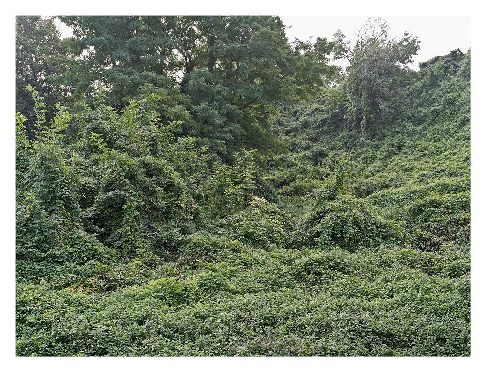 Gilles clement paysagiste