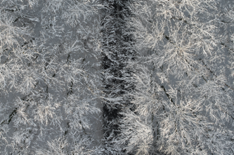 Over #48 © Kacper Kowalski