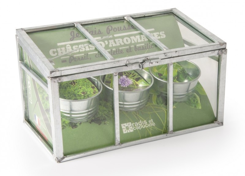 Châssis plantation trio aromatiques bio, Nature & Découvertes