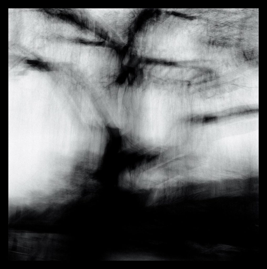 Gérard Rondeau, Arbre flou 