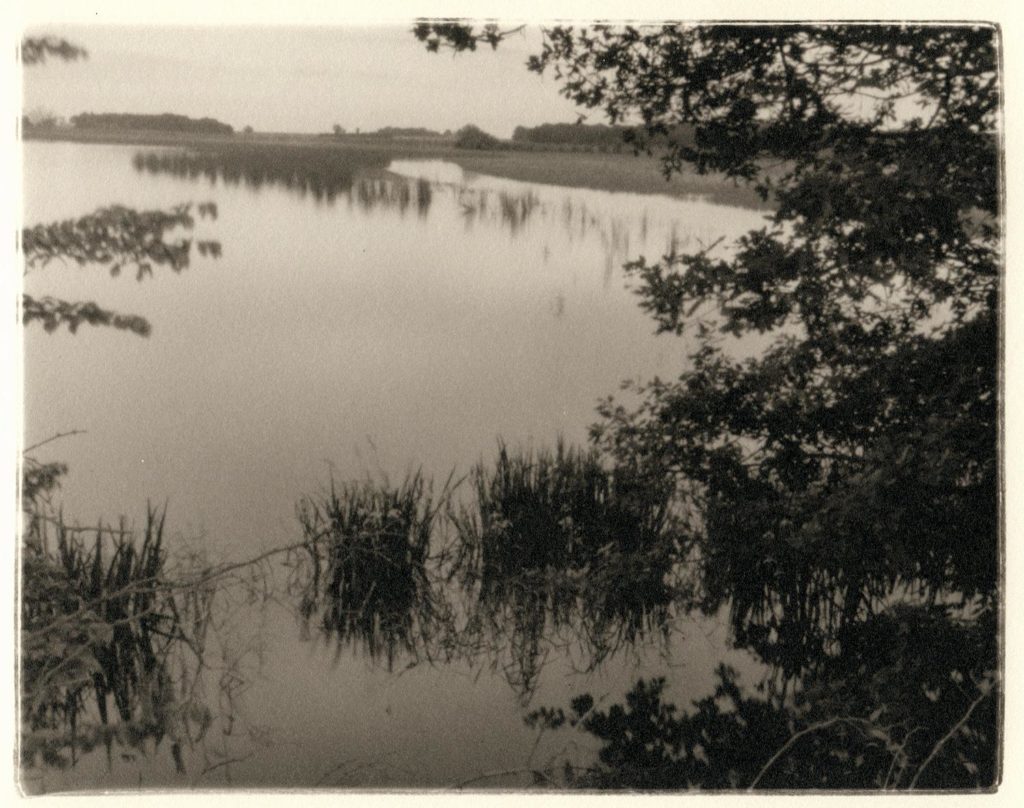 Robert Charles Mann, Paysage 