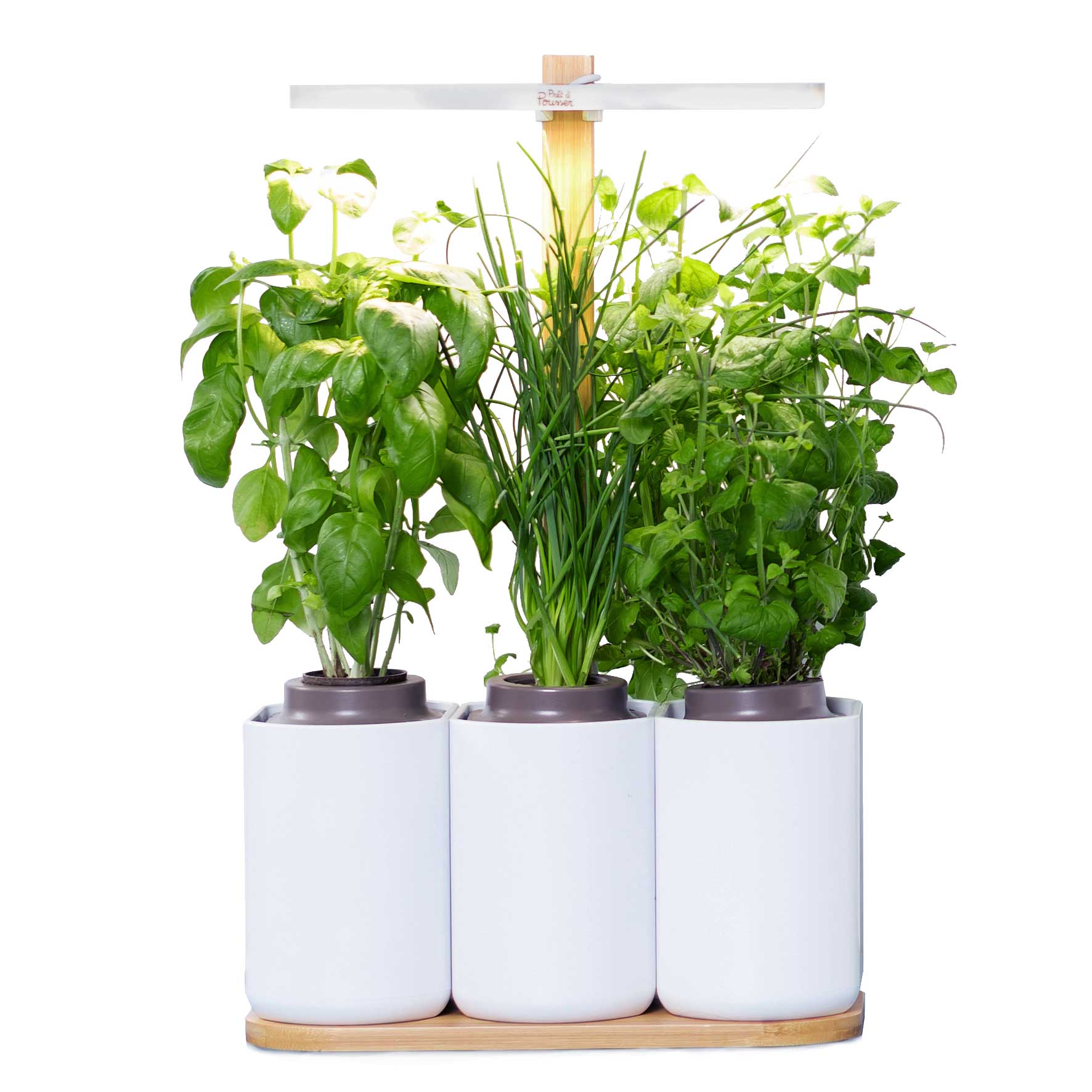 Prêt-à-Pousser, Lilo