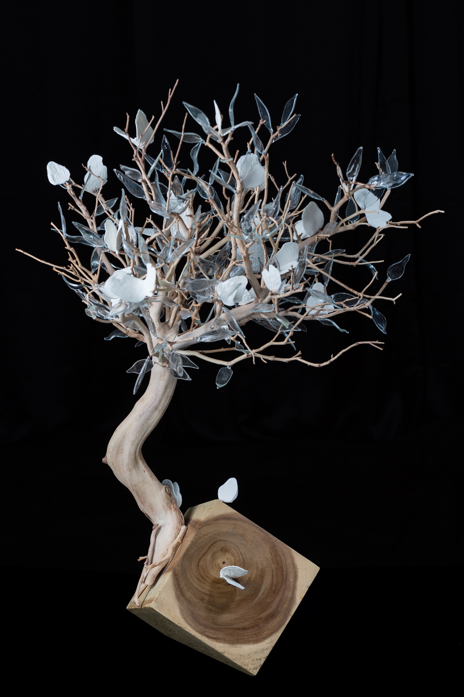 Geneviève Mathieu, L'arbre aux papillons