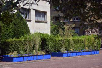 Projet 2017 "Cortège Sifflant" Cédric RIVIERE, paysagiste DPLGMaison de la Tunisie ©Caisse des dépôts/Photo Jean-Marc Pettina/juin 2017