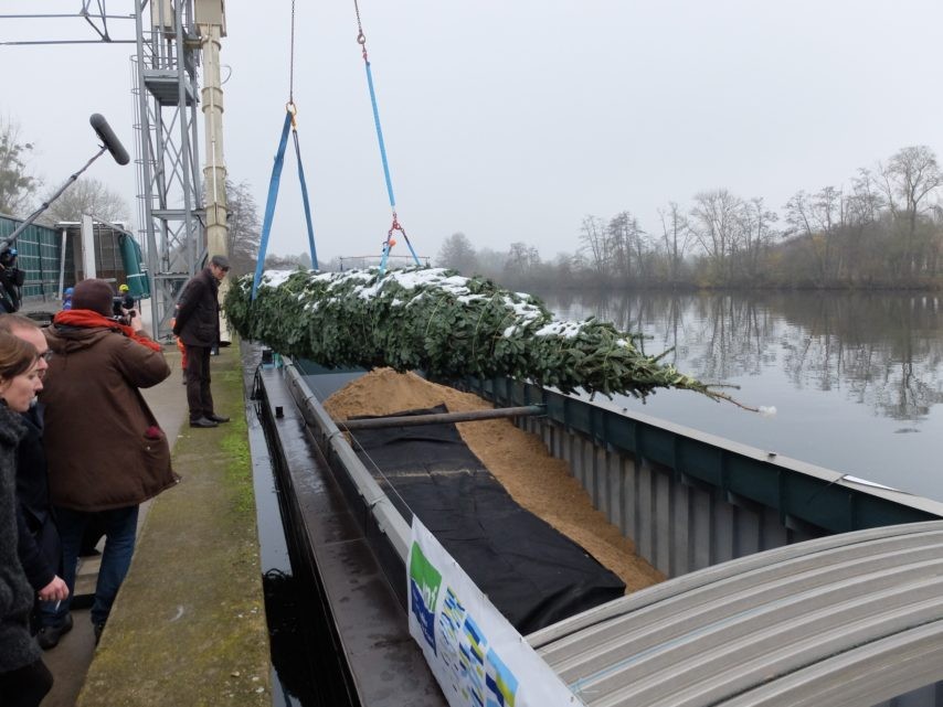 Embarcation du sapin à bord de la péniche à