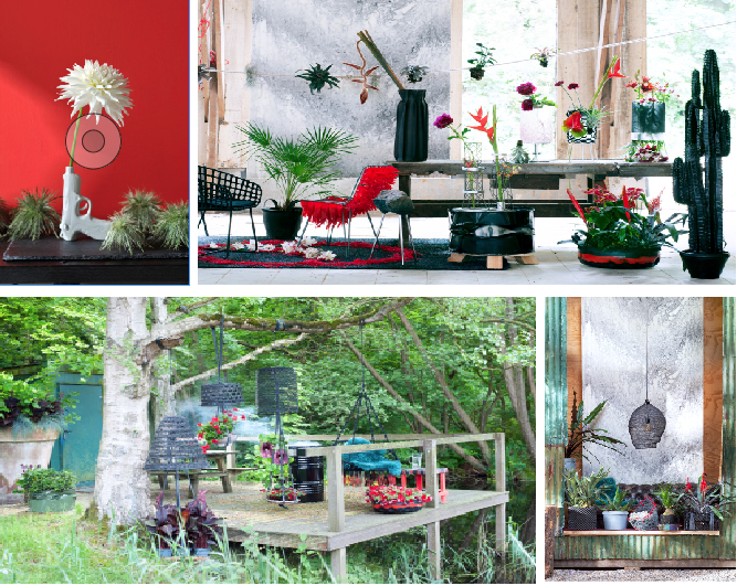 Tendance Punk Rebooted © lajoiedesfleurs.fr