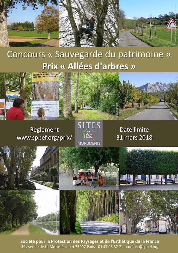 Affiche du concours "Allées d'arbres", édition 2018