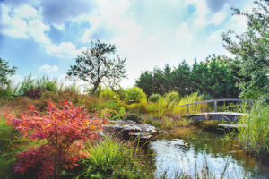 Réalisation Pauchard Paysage.
