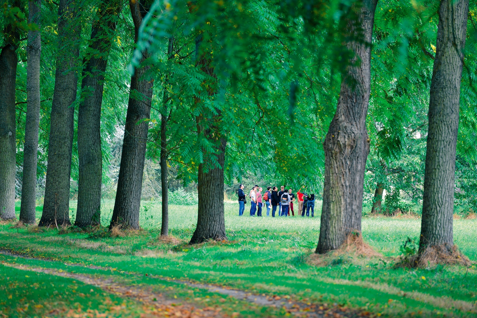 Arboretum de Versailles-Chèvreloup © MNHN S.Gerbault