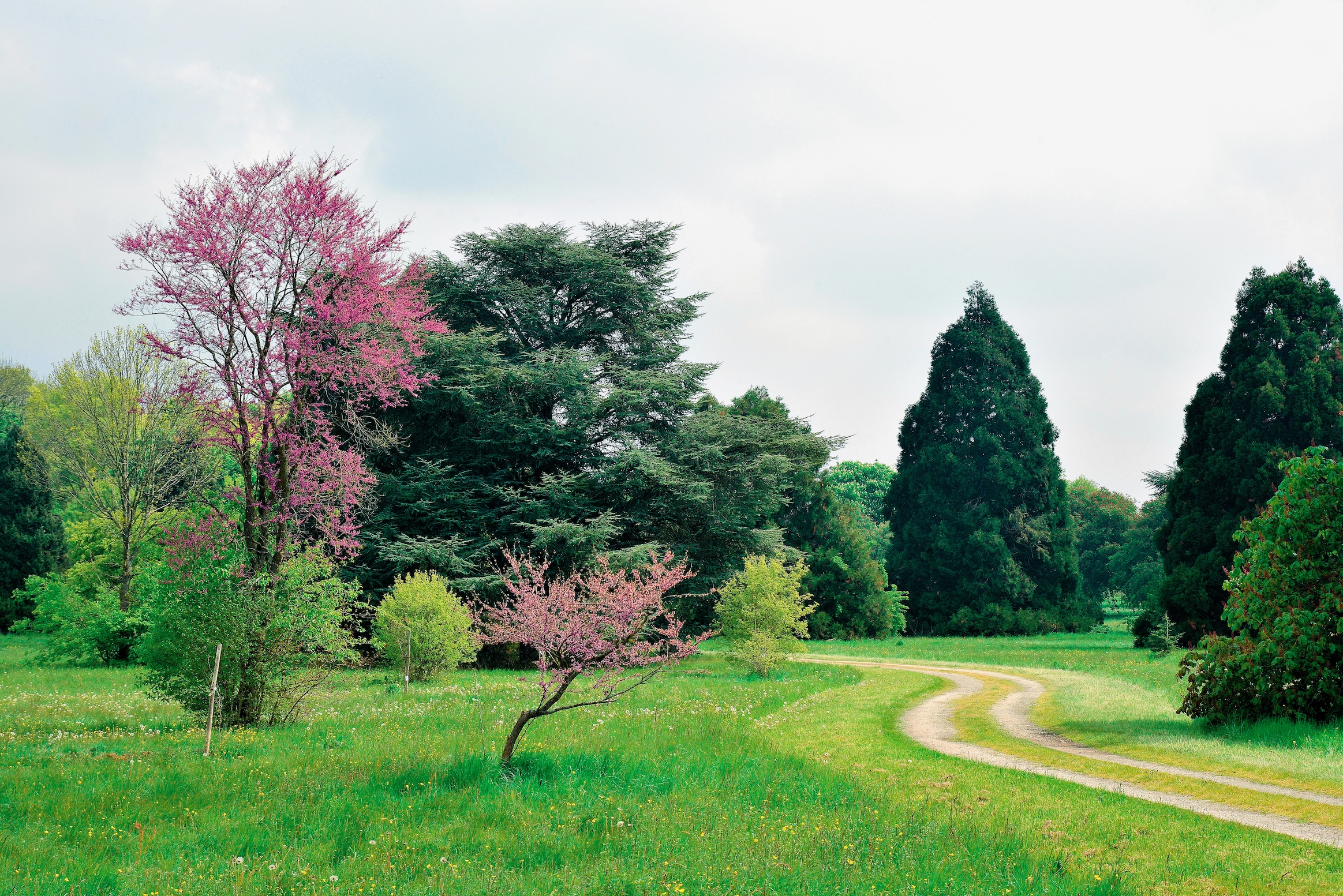 Arboretum de Versailles-Chèvreloup © MNHN S.Gerbault
