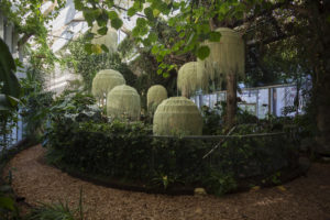 Festival-international des jardins- www.ed-2022.activite-piscine.com Réalisation P. Nadeau_Rainorest © Photo_HervéTernisien